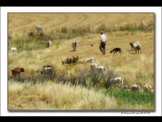 E' semplicemente di un altro mondo.. Stupendo.