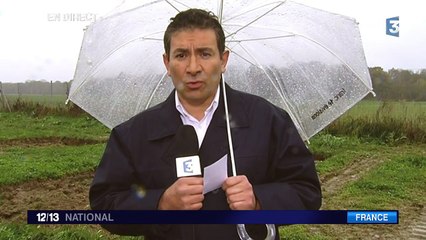 Le tigre errant de Seine-et-Marne aurait été repéré