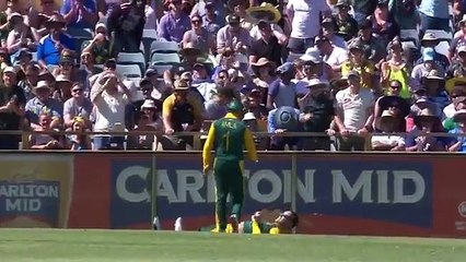 Brilliant Catch by Faf du Plessis.