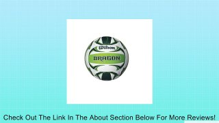 Wilson Sports Dragon Eco Volleyball Review