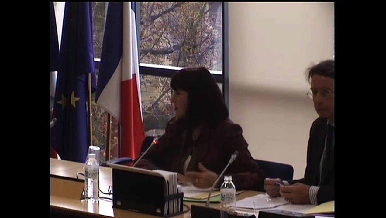 Commission des affaires européennes : stratégie UE 2020