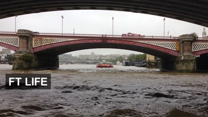 Thames tour shows changing London skyline