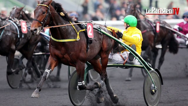 L'écurie du Parisien. En route pour l'Amérique