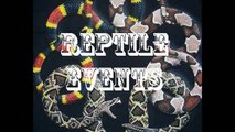 Reptile Events-Feeding (Hog Nose Snake)