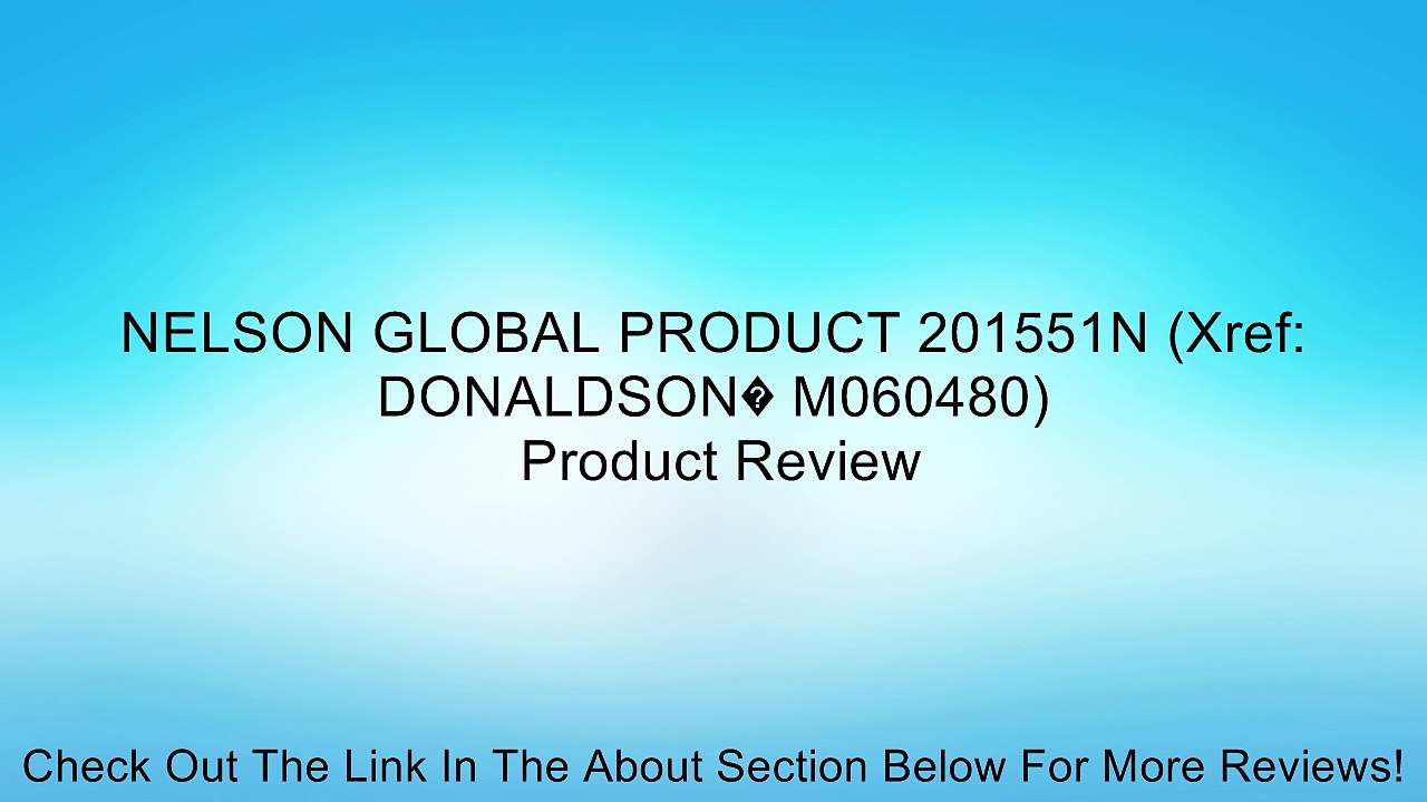 NELSON GLOBAL PRODUCT 201551N (Xref: DONALDSON� M060480) Review