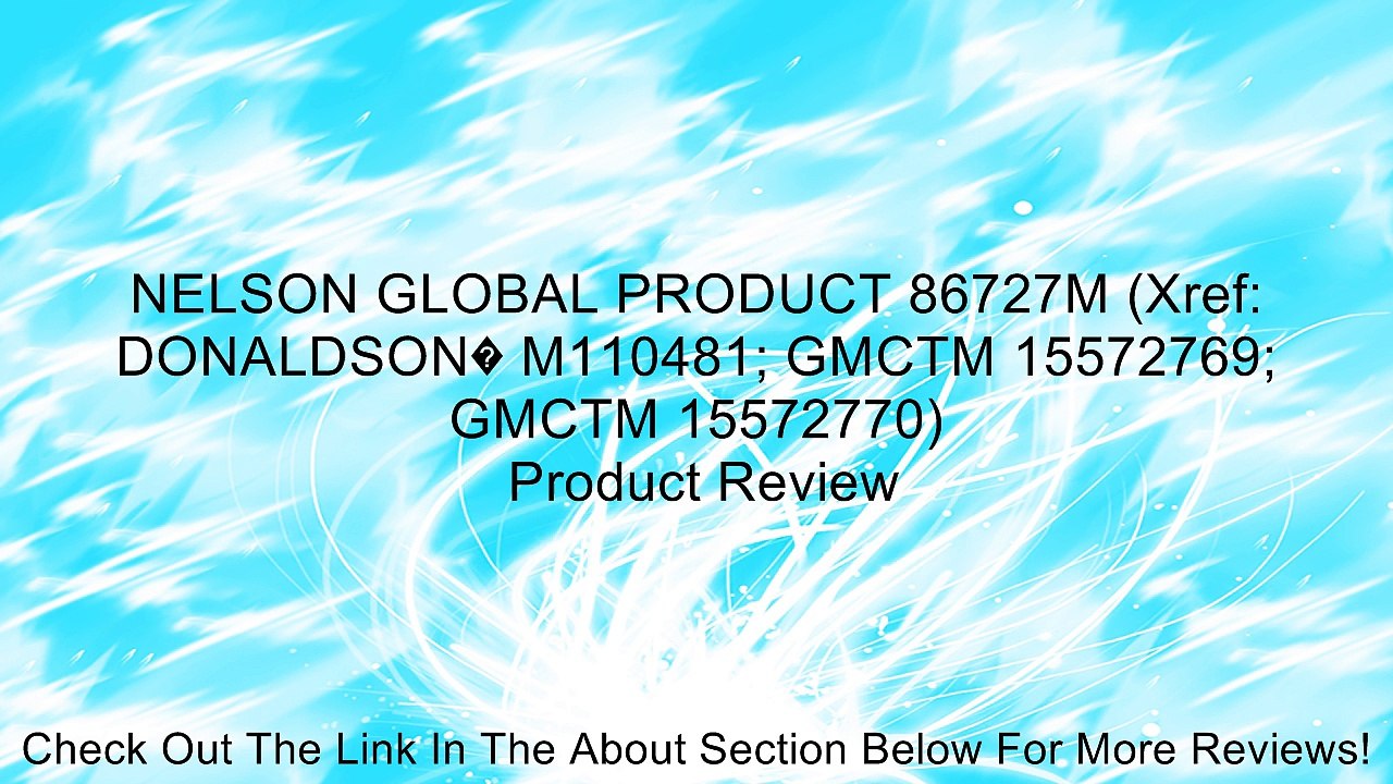 NELSON GLOBAL PRODUCT 86727M (Xref: DONALDSON� M110481; GMCTM 15572769; GMCTM 15572770) Review