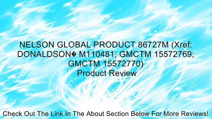 NELSON GLOBAL PRODUCT 86727M (Xref: DONALDSON� M110481; GMCTM 15572769; GMCTM 15572770) Review