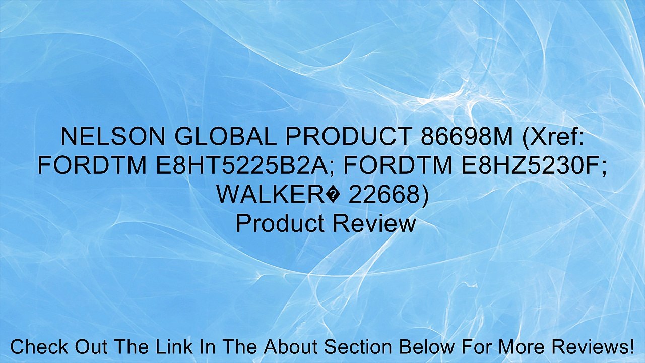 NELSON GLOBAL PRODUCT 86698M (Xref: FORDTM E8HT5225B2A; FORDTM E8HZ5230F; WALKER� 22668) Review