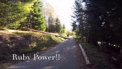 Débardage et transport de grume avec Ruby, cheval de trait...