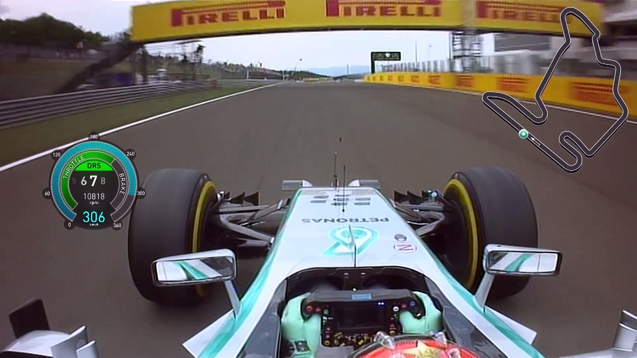 F1 2014 Hungary Rosberg Pole Lap