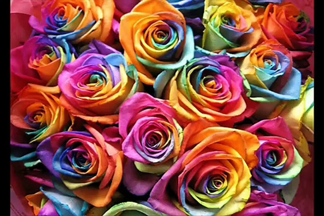 ANKHIYON KE JHARONKHON SE Dedicated To Dear ASMA Ji