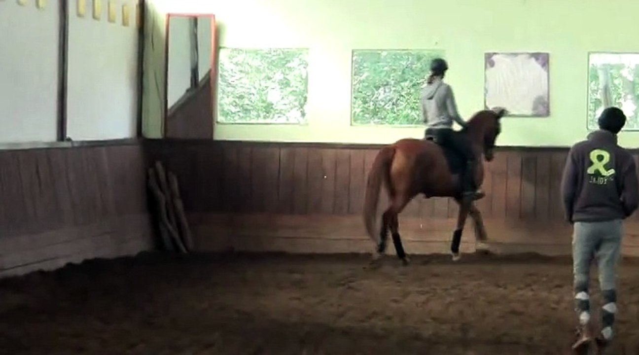 Stage de dressage avec Pierre Beaupère - 28 septembre 2014 - Jour 2 partie 1