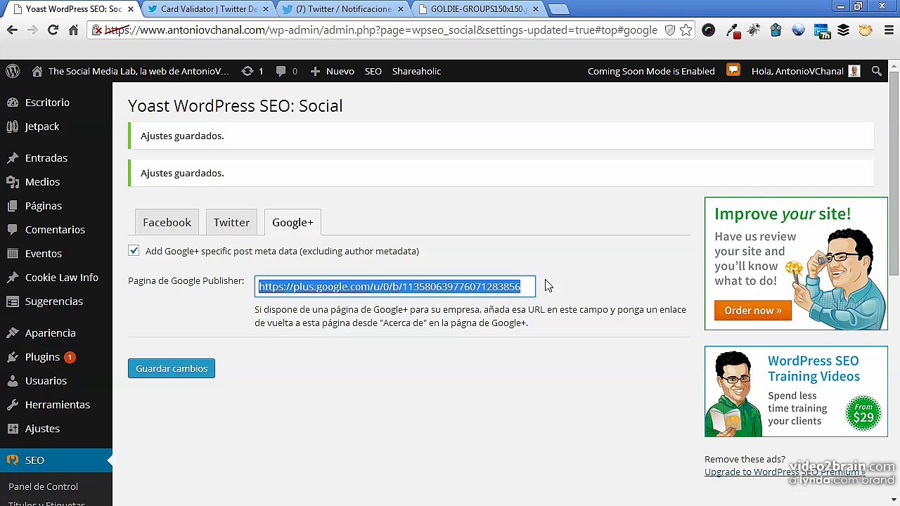 Curso SEO Wordpress Español Video 17