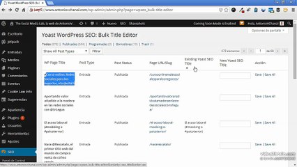 Curso SEO Wordpress Español Video 23