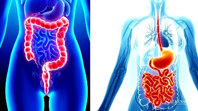 ¿Cómo lograr y cuáles son los beneficios del programa detox - Tips para bajar de peso