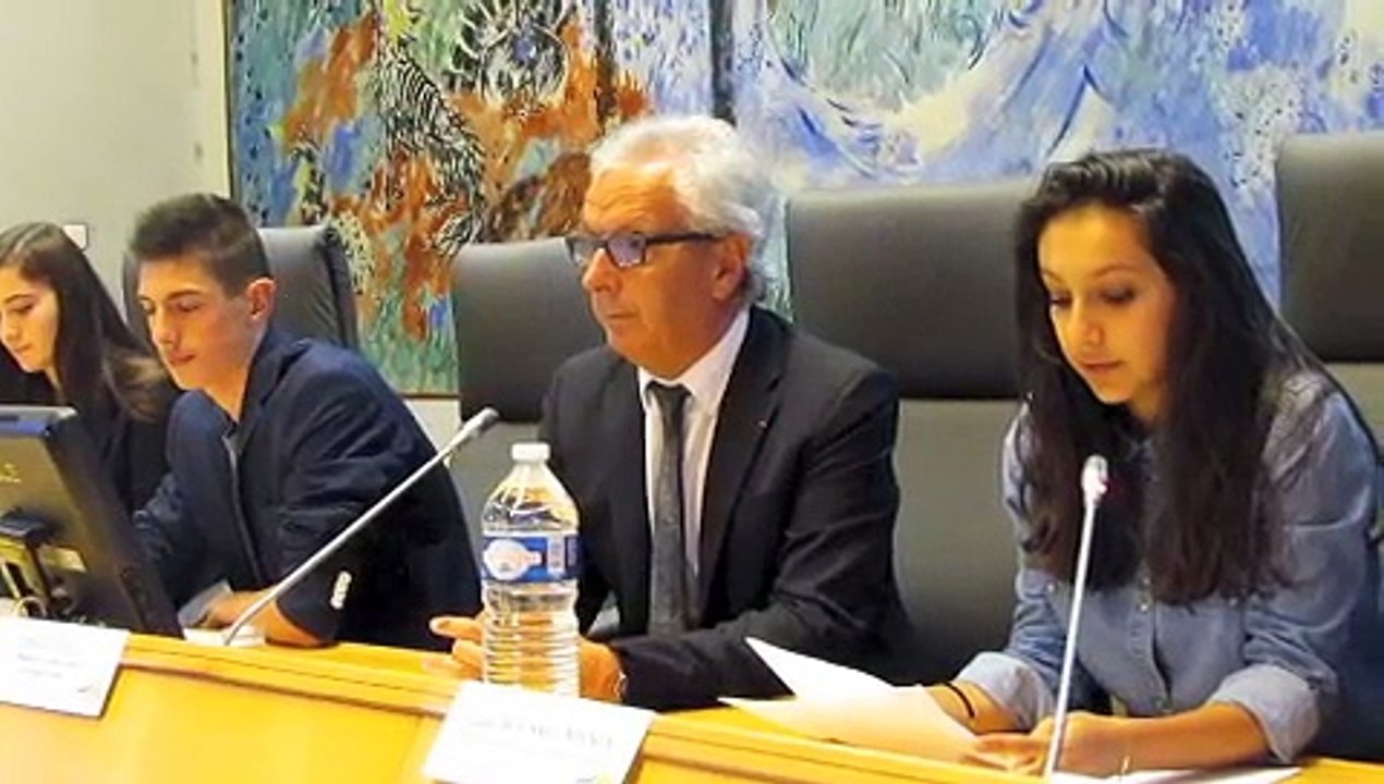 Tarbes - Dernière réunion du Conseil général des jeunes