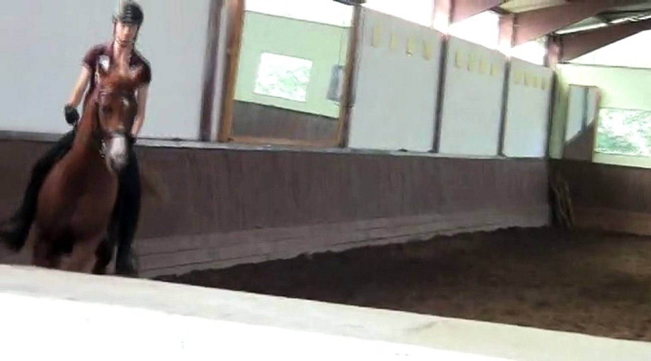 Stage de dressage avec Pierre Beaupère - 28 septembre 2014 - Jour 2 partie 3