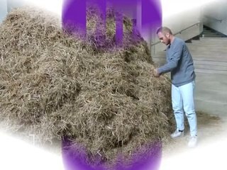 Man Finds Needle In Haystack, Ruins That Saying Forever