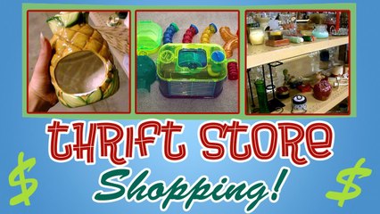 THRIFT SHOPPING! (For Hamster Supplies) PT. 1