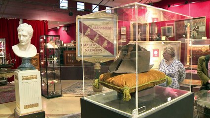 Napoleon memorabilia to be sold at auction