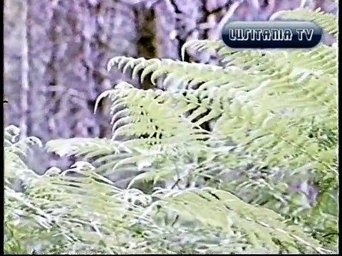 BETAMAX - Doc. A Floresta Portuguesa Anos '80