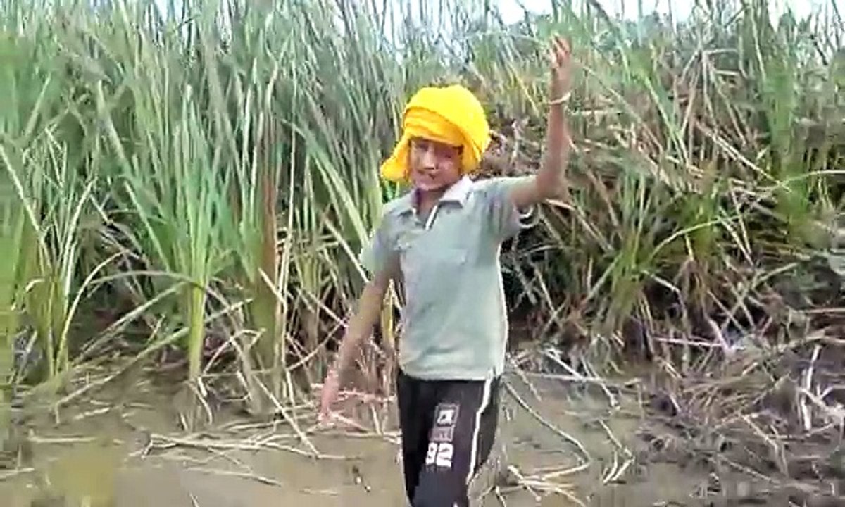 punjabi funny