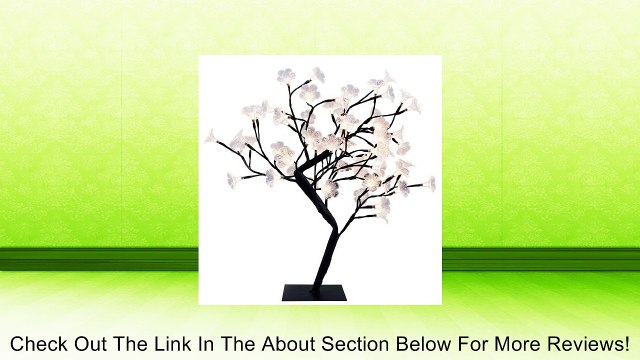 Simple Designs NL2008-BLK LED Lighted Decorative Cherry Tree, Large, Black Review