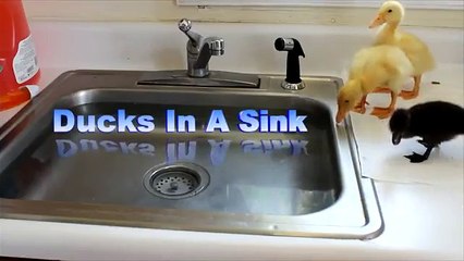 This Will Make You Smile