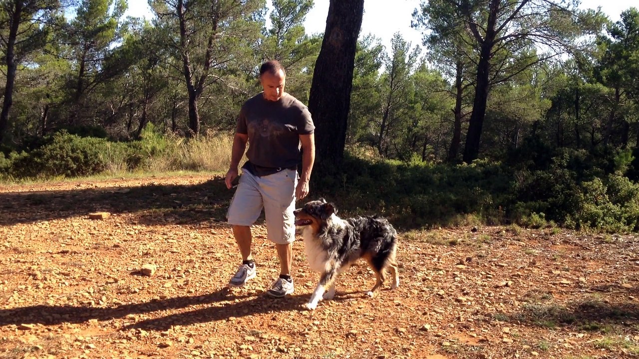 Dressage canin la Ciotat 13 ,Stimulation par la nourriture