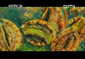 《Discovering Chinese Cuisine》Part 1 of 7 Optimal Heating