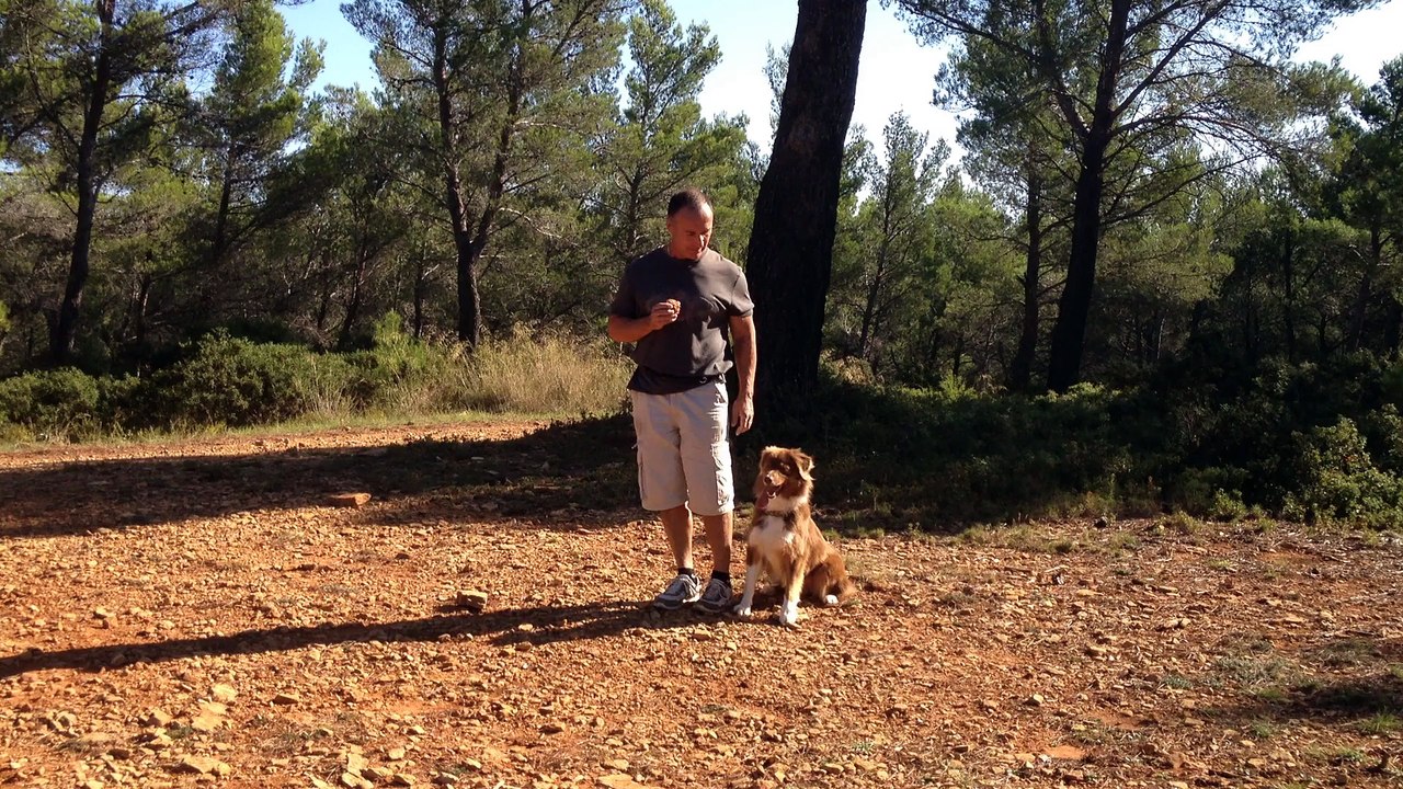 Dressage canin la Ciotat13, stimulation par le jeux.