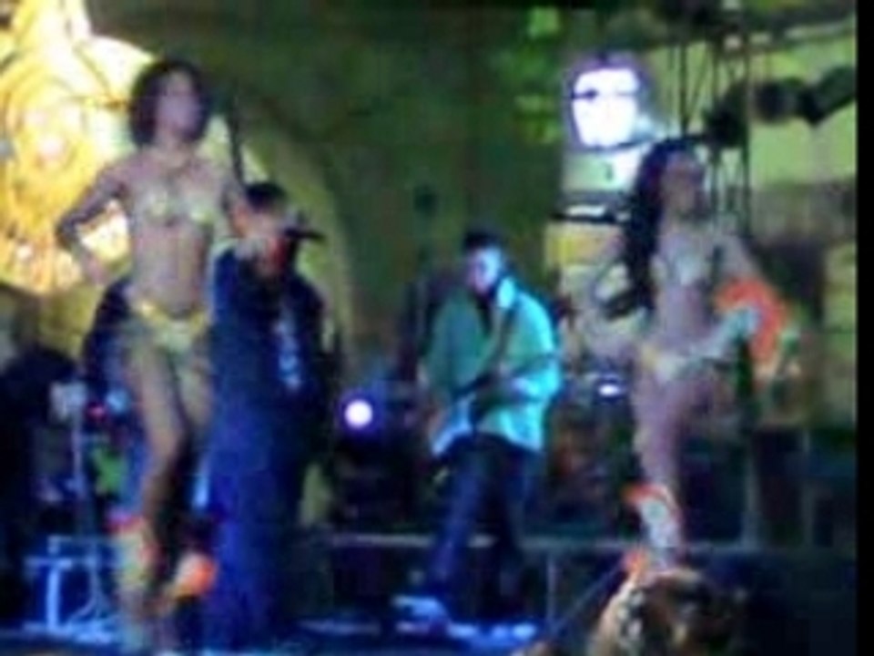 Tarantella brasil