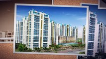 2BHK flats in Sikka Kaamna Greens, Sector 143 Noida Expressway