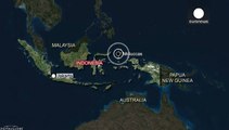 Terremoto nelle Molucche: revocata l'allerta tsunami