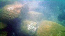 Mares, Cavernas submarinas, Litoral Norte, Paulista, SP, Brasil, mergulhos de observação marinha em apneia, show nos mares,  parte 01