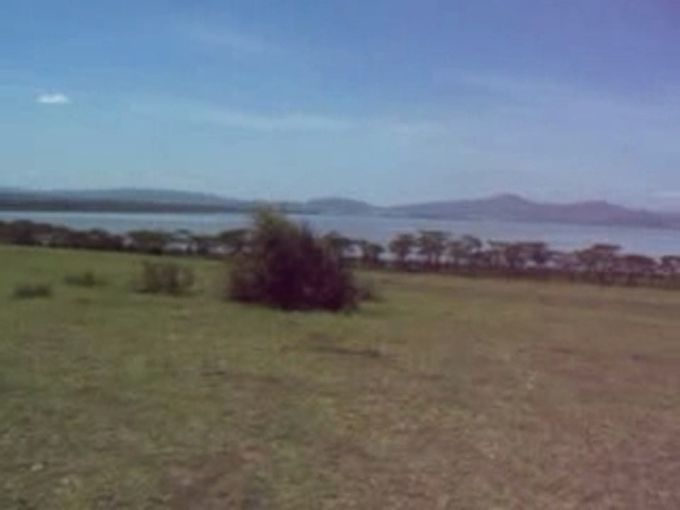 360 à Crescent Island