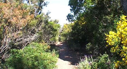 2008-2009 rando cap benat