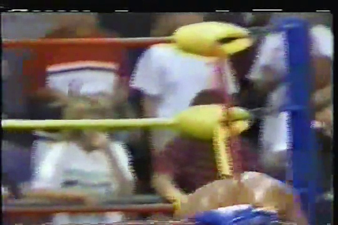 WCW Pro 1991-08-24