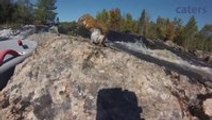 Heroic River Boarder Rescues Drowning Squirrel