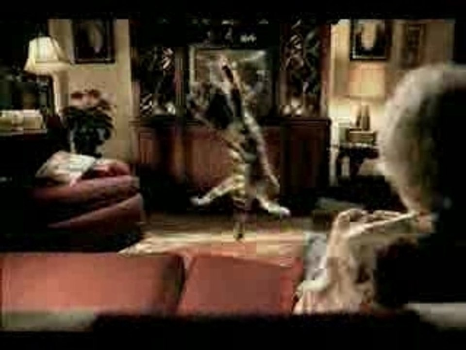 Pub chat qui joue au foot!