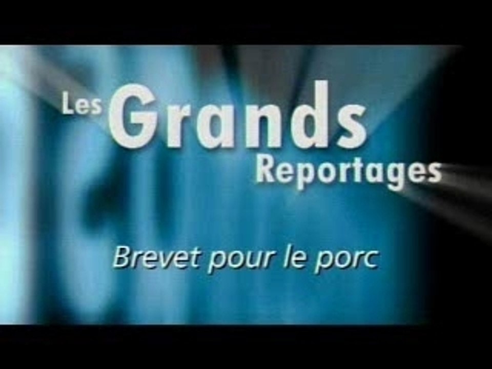 Monsanto pur porc IV