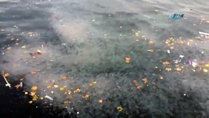 İstanbul Boğazı’nı istila ettiler