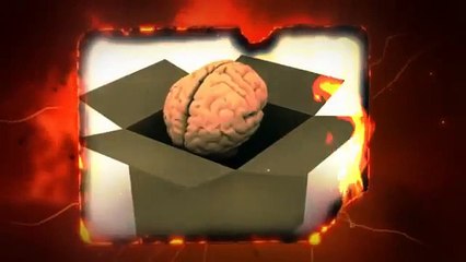 ZOX Pro Training Methods Price