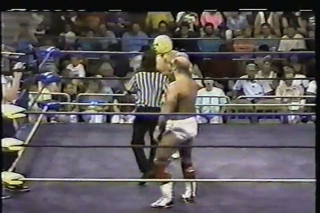 WCW Pro 1991-08-03