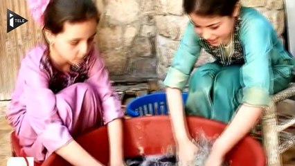 Syrie : une jeune star du web dénonce le régime de el-Assad