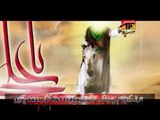 Messum Abbas 2014 - Momino Haider E Karar - Hubehaider.com