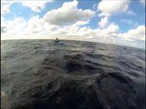 Un requin marteau harcèle un kayakiste et le suit sur 3 km... Flippant!
