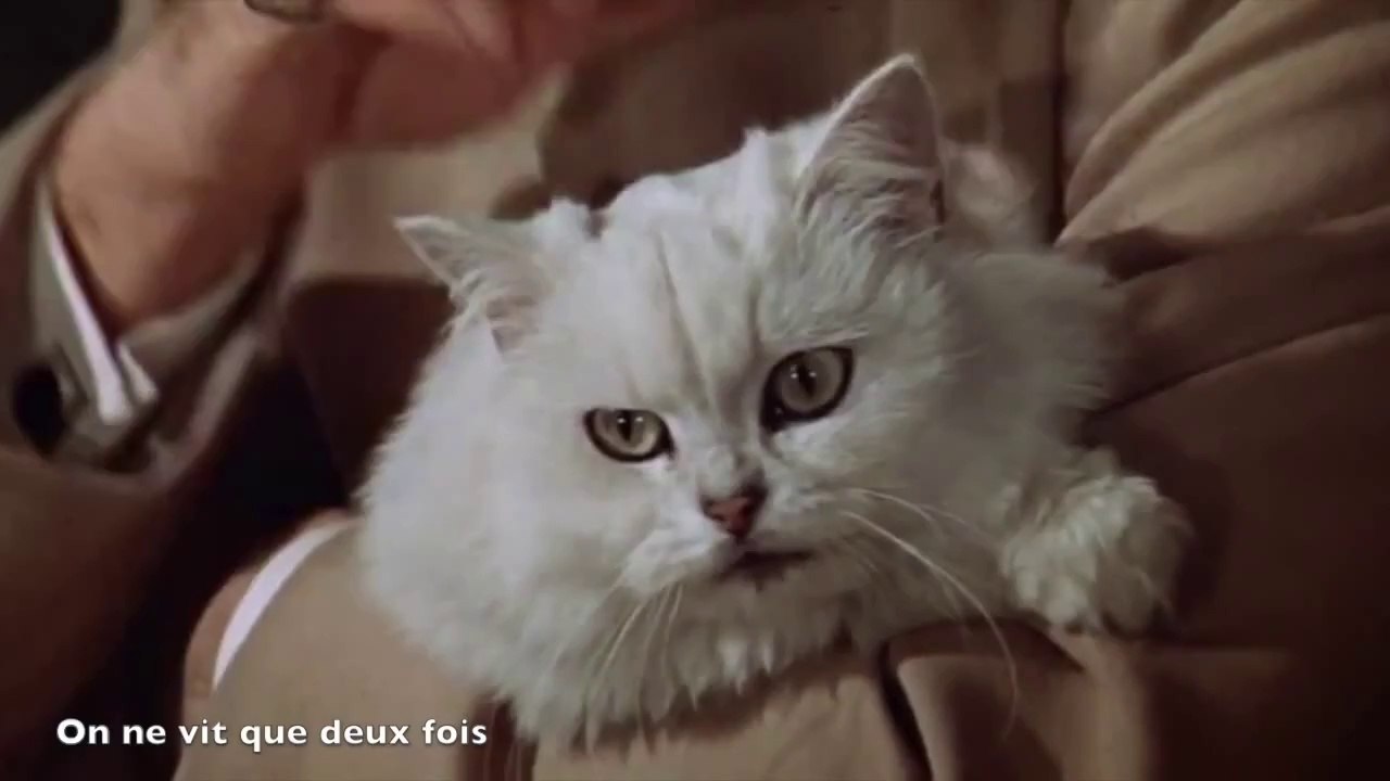 Résumé de la semaine #4