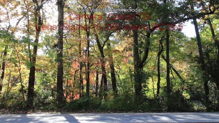 Lens Test: Canon T3i and Sigma 18-250 macro SC f3.5