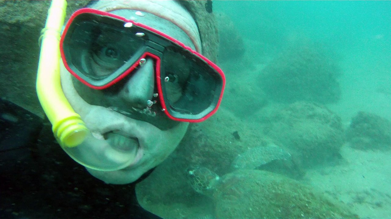Mergulho de profundidade livre em apneia, Natureza Marinha, Peixe Frade, Moreia Verde Gigante,  Tartaruga gigante, Corais, Peixes, Cavernas Submarinas, Estrelas, Ouriços, Ubatuba, SP, Brasil, Litoral Norte, Marcelo Ambrogi, Ilhas indômitas, Parte 059